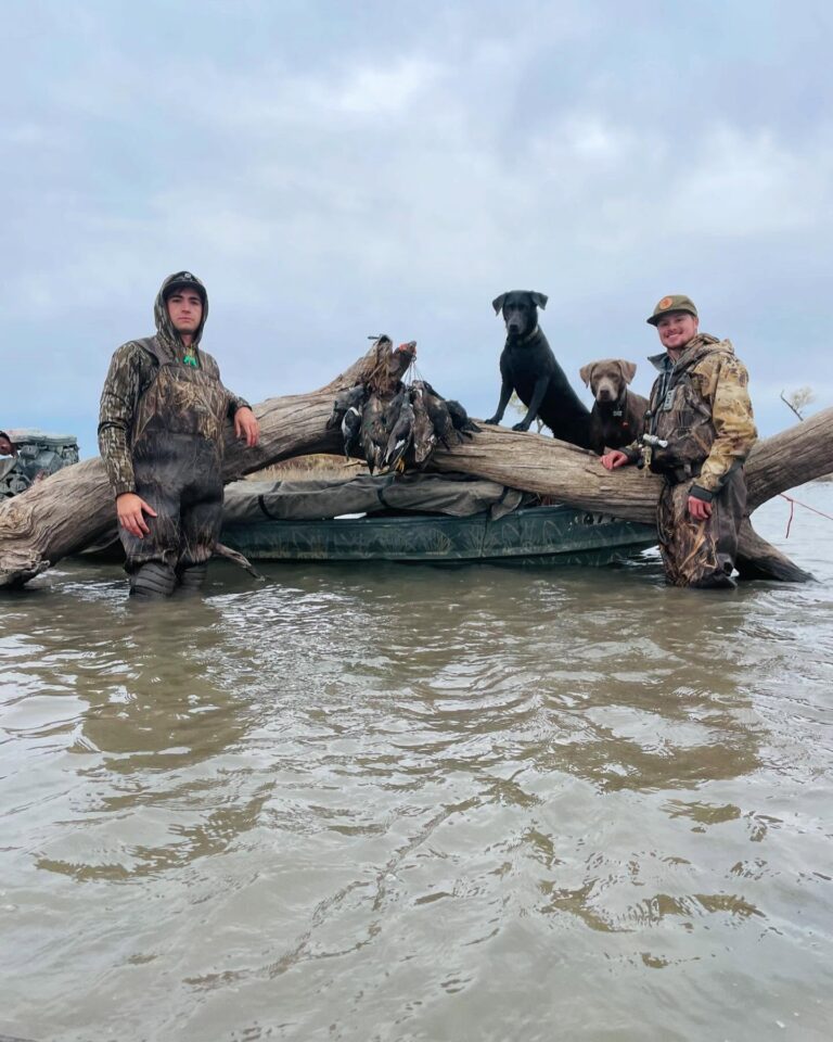 Retriever at Great Plains Kennels
