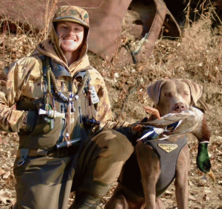 Retriever working in the field