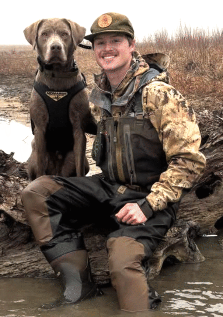 Retriever working in the field
