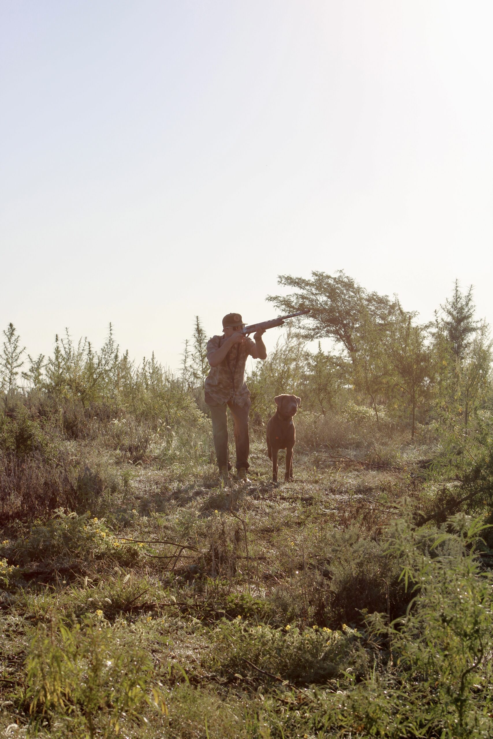Great Plains Kennels dog