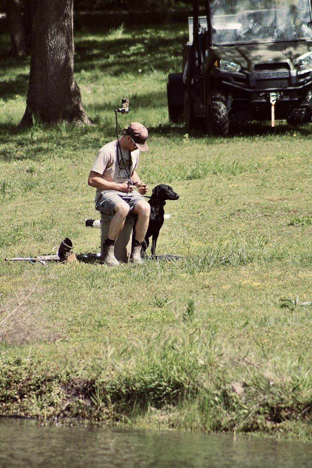 Training young dogs by the water