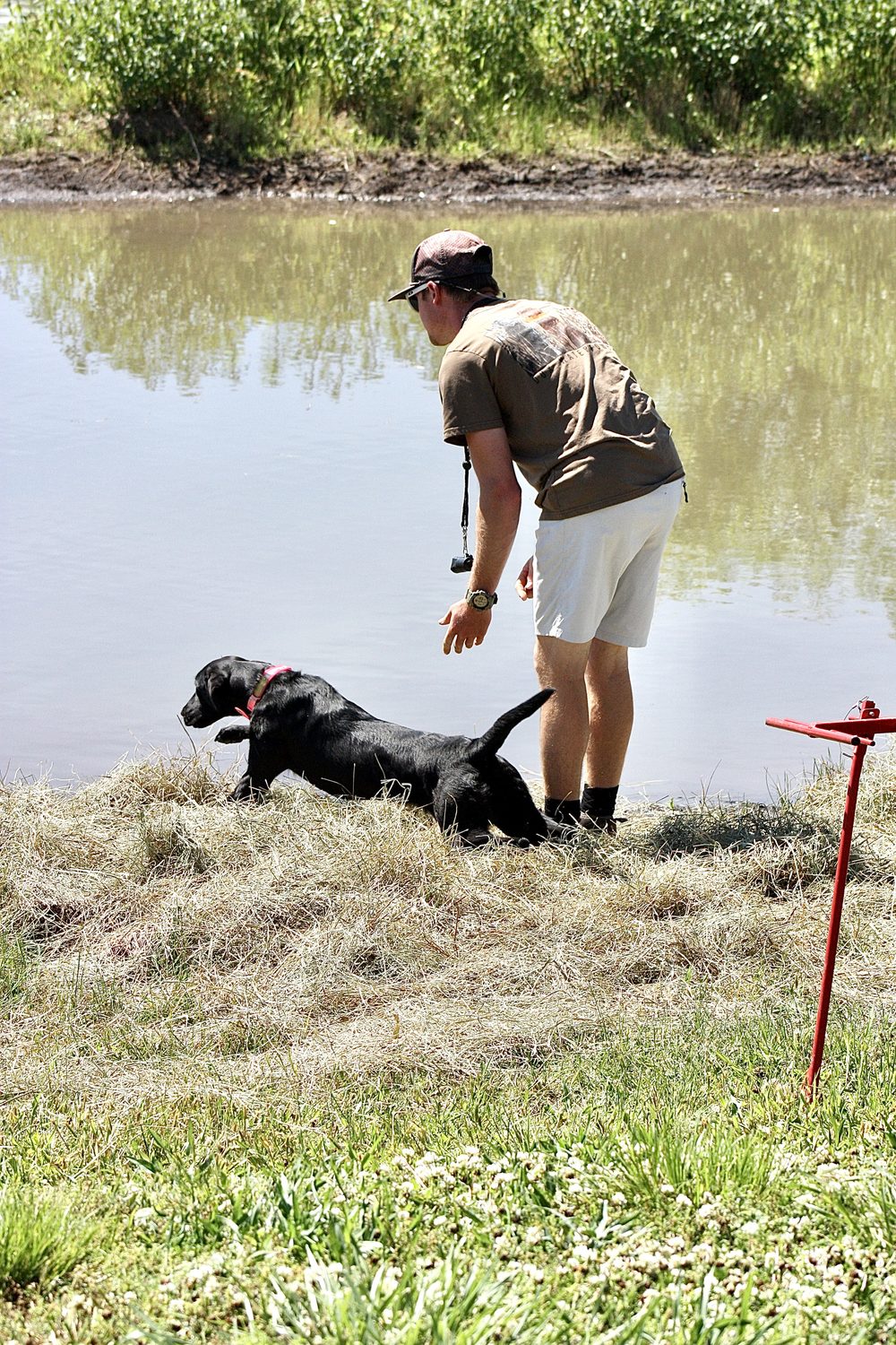 Devin working a dog into the pond