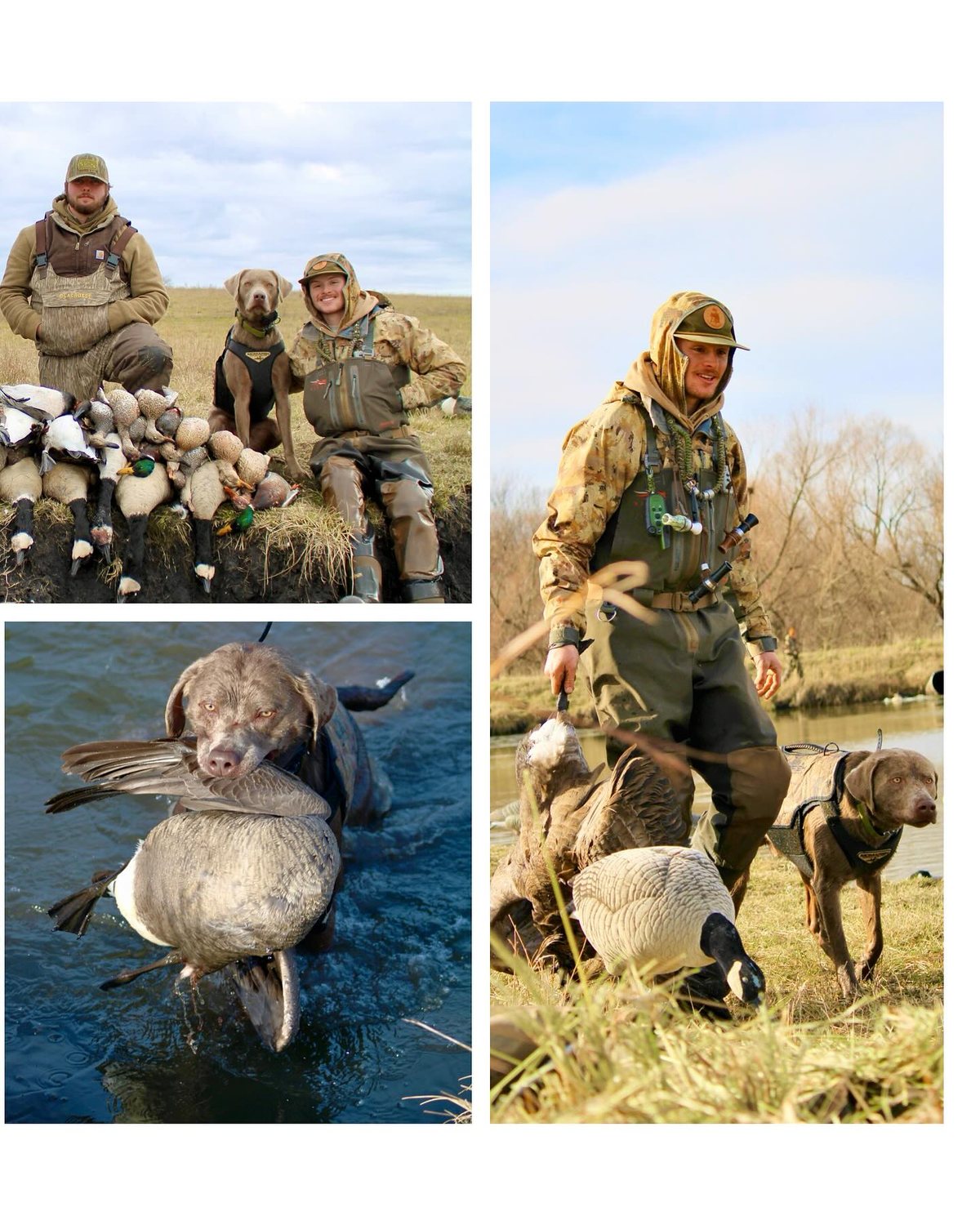 Great Plains Kennels dog
