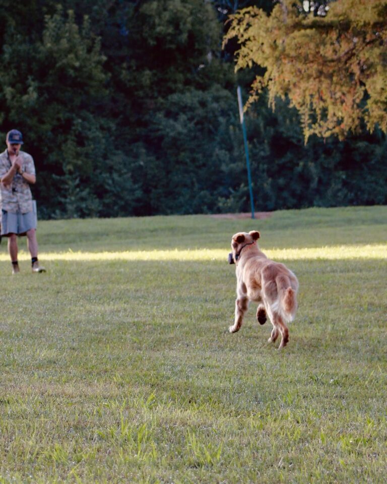 Great Plains Kennels dog