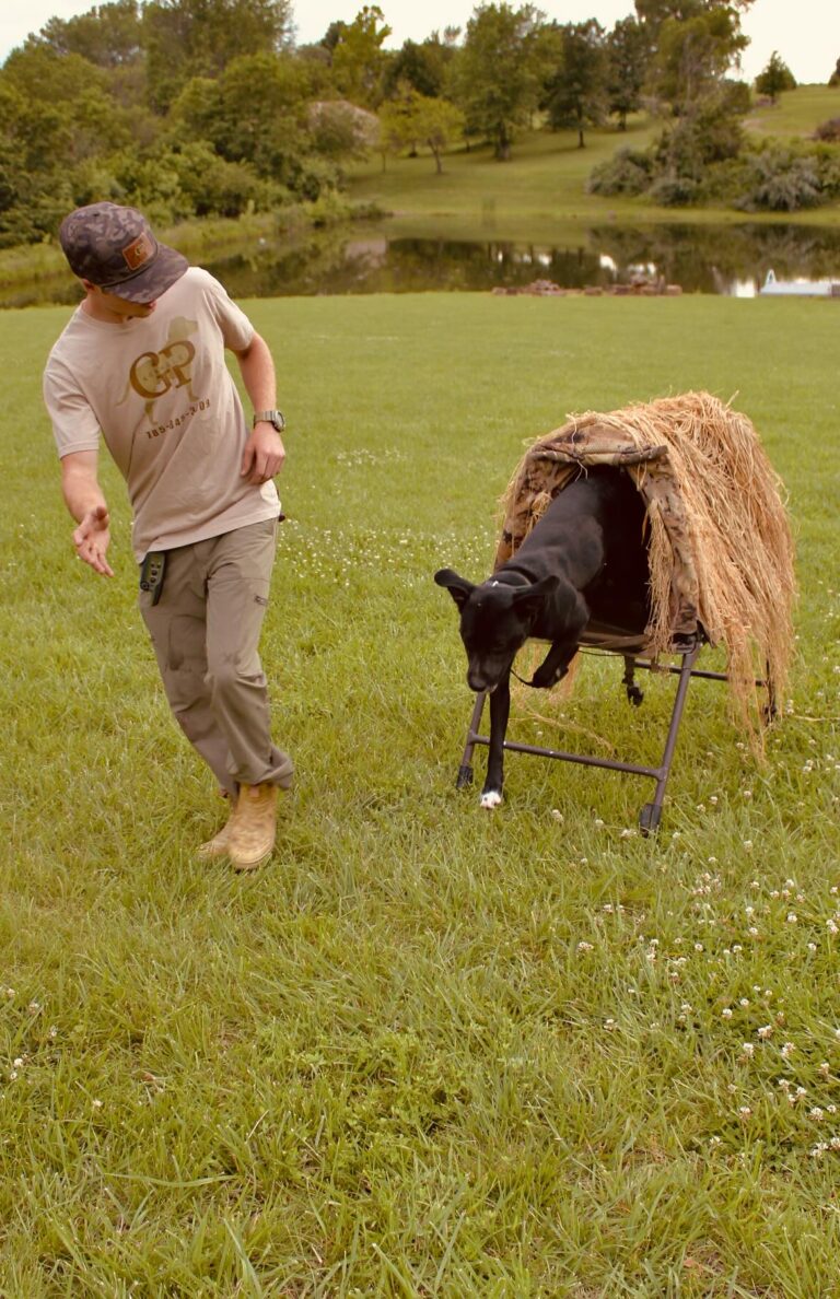 Great Plains Kennels dog
