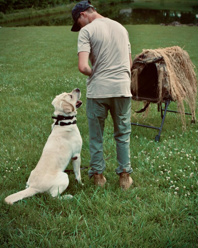 Great Plains Kennels dog